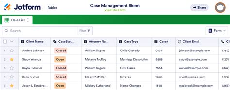 Case Management Excel Template