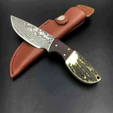 Case Stag/Antler Handle Collectible Fixed Blade Knives