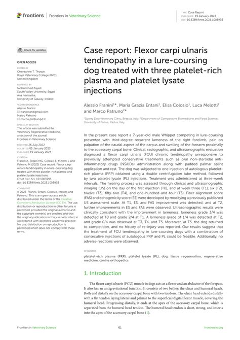 Case report: Flexor carpi ulnaris tendinopathy in a lure-coursing …