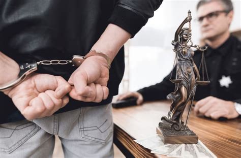 Case sis.  Sealed cases.  Unauthorized users may be subject to criminal prosecution under...