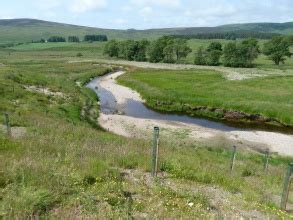 Case study:Rottal Burn - RESTORE