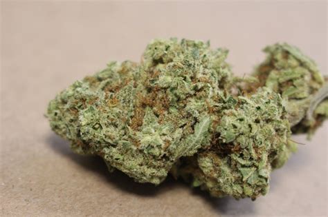 Casey jones strain allbud. THC: 17% - 18%. Alien Jones is a super rare slightly sativa dominant hybrid (60% sativa/40% indica OR 55% sativa/45% indica) strain created through crossing the classic Casey Jones X Alien OG strains. This out of this world hybrid brings you the best of both worlds, fusing a lifted focused high with a relaxing body buzz that's perfect for ... 