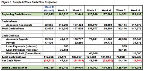 Cash Flow Projection