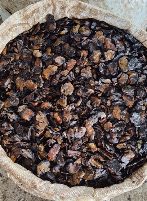 Cashew Nut Shell Cake - ExportersIndia