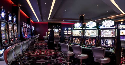 Casino del hipódromo estrellas de póquer.