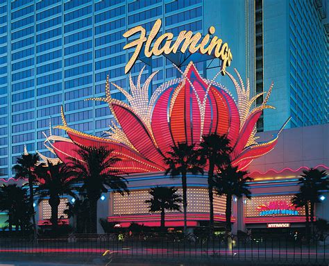 Casino flamingo hilton las vegas.
