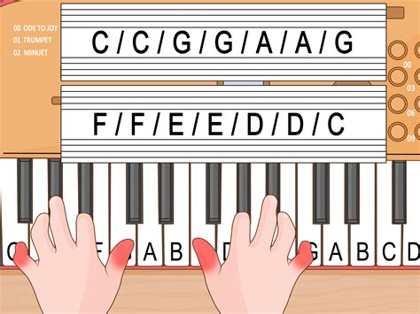 Casio Piano Lessons For Beginners