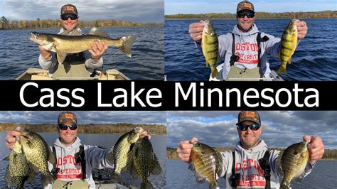 Look to the bars and humps in 15-20 feet. On Cass Lake walleyes are being caught in 18-20 feet during the day and 8-12 feet in the evening. Perch are going on Pike Bay in 7-9 feet. Looks like by .... 