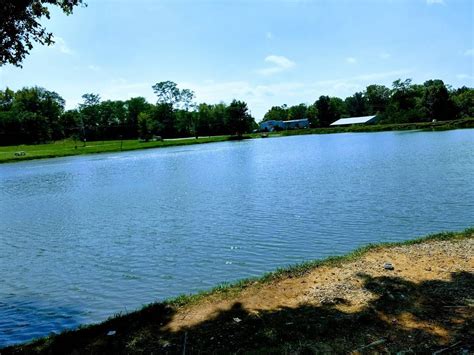 Seven Lakes Paylake, located in Waco, Kentucky, is a top-tier paylake offering access to some of the best trophy catfishing in Kentucky. Each lake offers something unique and allows anglers to fish for Channel, Blue, and Flathead Catfish..