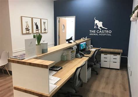 Castro animal hospital. Things To Know About Castro animal hospital. 