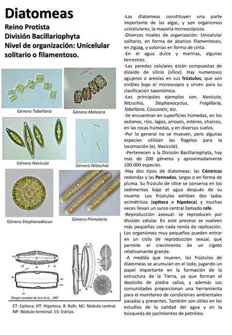 Catálogo de diatomeas libros uno y dos. - A pilots survival manual by paul homer nesbitt.