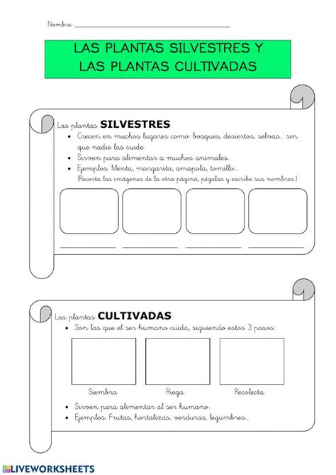 Catálogo de las principales variantes silvestres y cultivadas de opuntia en la altiplanicie meridional de méxico. - The arrl operating manual 5th edition.