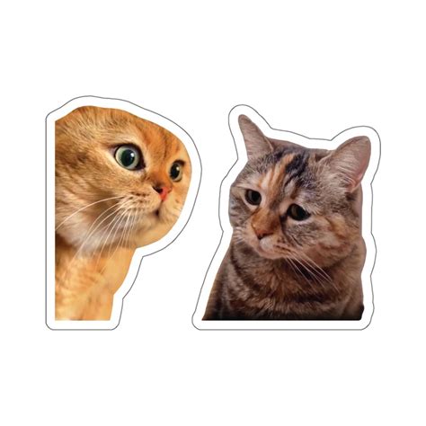 Cat Animation Meme Compilation TikTok.