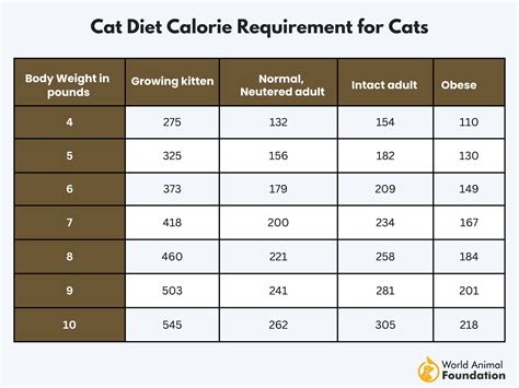 Cat Calorie Calculator m0360f