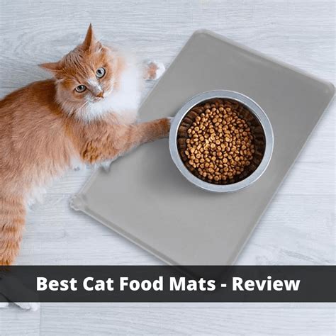 Cat Food Mats Choose The Best One For Your Cat