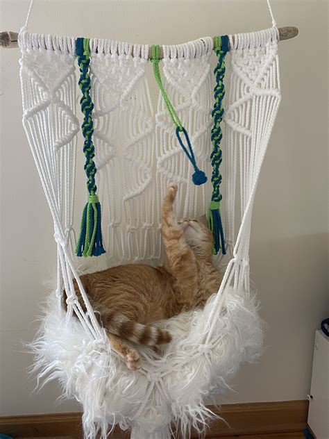 Cat Hammock Pattern Patterns For You
