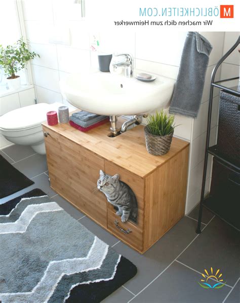 Cat Litter Box In Bathroom Vanity - Artcomcrea