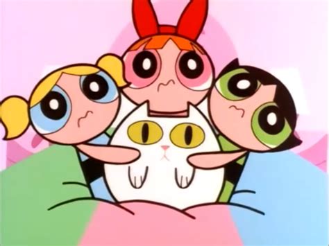 Cat Man Do Powerpuff Girls Wiki Fandom