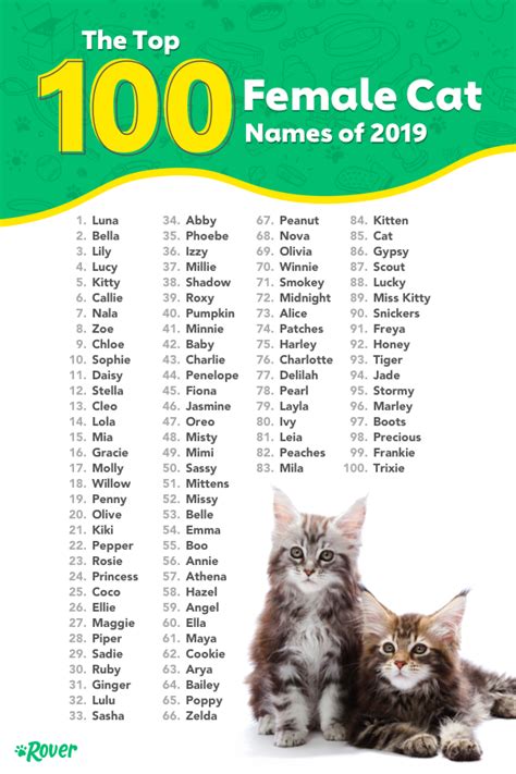 Cat Name Syllables TheCatSite