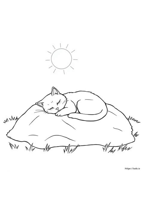 Cat Nap Coloring Shee