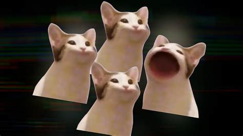 Cat Pop Bohemian Rhapsody, Popcat HD wallpaper Pxfuel