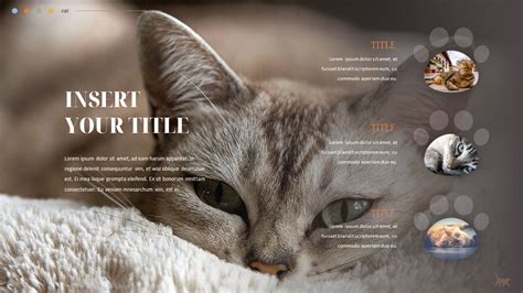 Cat Presentation Powerpoint Templates Design