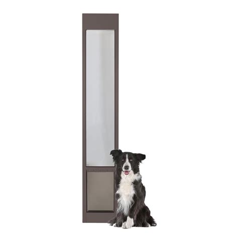 Cat Proof Dog Door : r/HomeImprovement - reddit.com