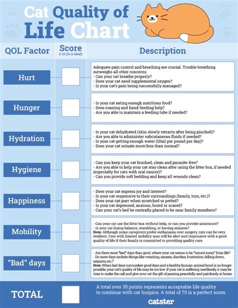 Cat Quality of Life Scale How to Use it When Making End of Life