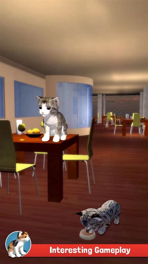 Cat Simulator Kitty APK Download for Android 