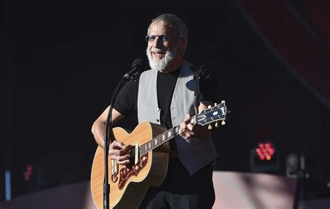 Cat Stevens to return this summer with a new album
