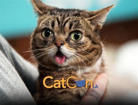 Cat con. The biggest cat-centric pop culture convention in the world is BACK in PURR-son October 1st and 2nd at the Pasadena Convention Center in Pasadena, California... 