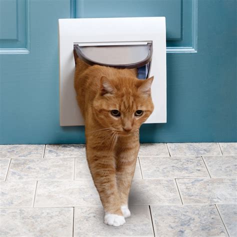 Cat door for door lowes. Restraining an injured cat is a great technique to learn to help your pet. Learn the best ways to restrain an injured cat in any mood. Advertisement Restraining an injured cat is a... 