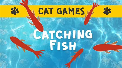 Cat games catching fish. How to play Games for Cats!: • Place your device on a flat surface near your cat. • Choose a level. • Enjoy watching your kitten chase laser pointers, mice, fish and score points! FEATURES: • Four levels packed full with fun. • Exciting sounds to keep your cats attention. • Score that increases by every catch your cat makes. 