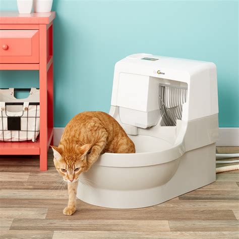 Cat genie litter. CatGenie is a self-cleaning, self-washing, programmable automated litter box that is designed to do all the dirty work for cats and their owners. It also self-flushes … 
