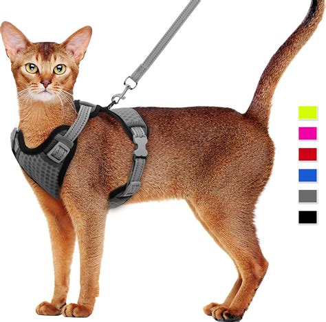 Cat harness amazon. Things To Know About Cat harness amazon. 