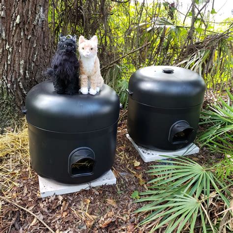 Cat haven. If you have increased your constipated cat’s water intake for forty-eight hours, but they still haven’t passed any stools, you should take them to see their veterinarian. The veterinarian will examine them and prescribe fecal softeners, fecal lubricants, or even micro enemas. 
