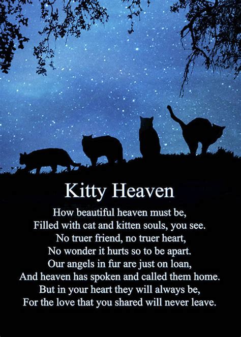 Cat heaven poem. May 22, 2023 · Memories are wonderful, so keep them close; and remember all the good times the most. Up in the Heaven for animals is where I’ll be; and someday in the future, each other we will see. I am a PEACE now, so please don’t be sad; You gave me all the love you had. Author: Tracy M. Johnson. 