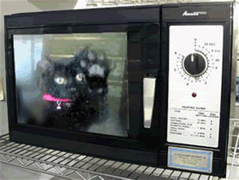 Cat in a microwave gif. Video depicting animal cruelty involving a cat being placed in a kitchen blender and subsequently in a microwave. Public Reaction : Outcry against animal abuse, demands for legal action against the perpetrator. Legal Consequences (Assumed) Potential charges for animal cruelty, pending confirmation of incident and jurisdictional laws. Category ... 