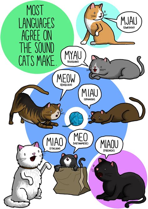 Cat in different languages. Cats are fascinating creatures that have been sharing our lives for thousands of years. Whether you're a cat lover, a language enthusiast, or simply curious about how the word "cat" is expressed across different cultures, this guide will provide you with a comprehensive list of how to say "cat" in various languages. From the formal to the … 