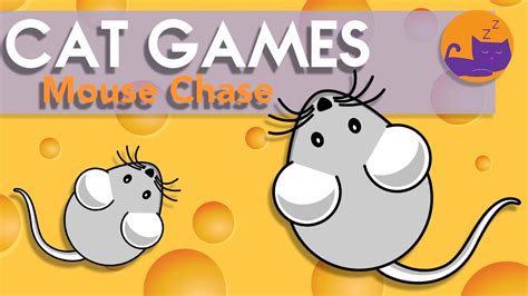 Cat mouse game. Things To Know About Cat mouse game. 