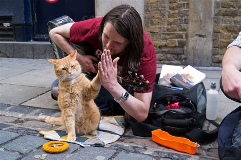 Cat named bob. For Bob is the famous ginger moggy belonging to one-homeless busking Big Issue seller James Bowen, whose A STREET CAT NAMED BOB hit bookshop shelves last week. Fans, some bearing feline treats, queued around the block at James and Bob's first signing at the Islington branch of Waterstones last week. The purrfectly behaved Bob … 