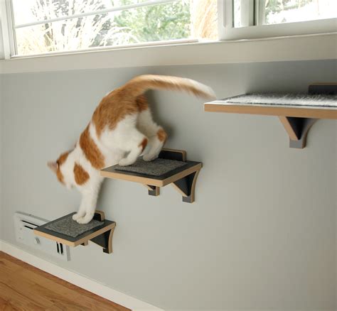 Cat on a climbing wall. Recycled wood cat climbing wall shelves set, cat wall post, modern cat furniture playground, wall jungle gym for large and small cats (46) $ 169.00. FREE shipping Add to Favorites Cat Climbing Wall Shelf Unit in Stainless Steel Cat Steps Animal Theme- Helping Animal Shelters (273) $ 60.49. Add to Favorites ... 