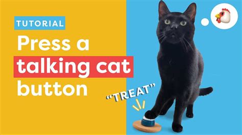Cat pressing button to talk.  While they can learn to use talking buttons, it may Rech...