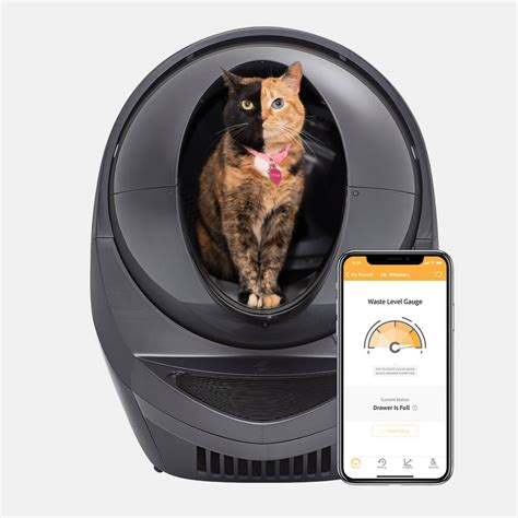 Cat robot litter box. The litter-Robot 4 has been a God send. we ended up with 6 cats 2 adults & 4 kittens. I was constantly scooping several times daily, cleaning & changing the litter box every other day. We got the Litter-Robot 4 all I have to do is change out the wast draw every other day. No muss, no fuss. 
