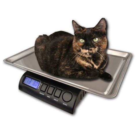 Cat scale close to me. MomMed Digital Pet Scale, Portable Pet Dog Cat Scale with Hold and Tare Function, Precision Digital Scale, New Born Puppy and Kitten Scale with Tray for Puppy/Hamster/Little Bird/Rabbit, 1oz - 33lb. 3.9 out of 5 stars. 364. 100+ bought in past month. $19.99 $ 19. 99 ($19.99 $19.99 /Count) 