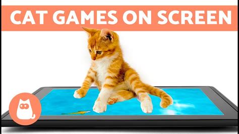 This is the best games for cat who are bored. Test your cat