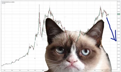 The latest messages and market ideas from Raul (@the_cat) on Stocktwits. The largest community for investors and traders. Rooms Rankings Earnings Newsletters. Cancel. Log In. Sign Up. DOW 0.00%. S&P 500 0.00%. NASDAQ 0.00%. Trending now. the_cat. Raul. Follow. Equities, Momentum; Member since August 4th 2013; 0 Following1 Followers. …