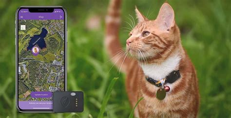 Cat tracker. Mar 4, 2024 · 10. GIBI 2nd Gen GPS Tracker Collar Attachment for Cats. Gibi 2nd generation collar attachment is a reliable and durable GPS pet tracking device that is accurate up to 10 feet, works throughout North America, offers 30-second location updates, and allows the creation of multiple safe zones for your pet. 