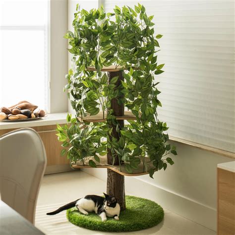 Cat tree craigslist. Browse great deals on new and used cat trees and cat towers for sale near you with local pick-up or shipping options on Facebook Marketplace 