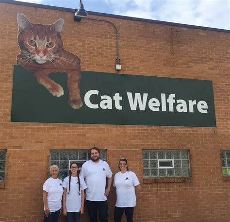 Cat Welfare Association Columbus, OH employee reviews. Animal Care Technician in Columbus, OH. 4.0. on June 18, 2020. Great shelter to work at with genuine car for ...